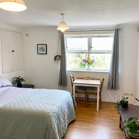 Bright And Comfortable Studio Apartment London Exterior foto